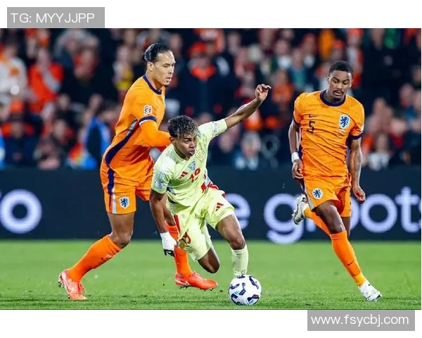 荷兰队与白俄罗斯队欧预选赛精彩对决回顾与分析
