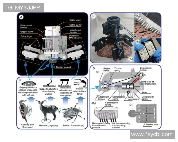 深圳攀岩队战术探讨:聚焦攀岩运动的技巧与策略分析