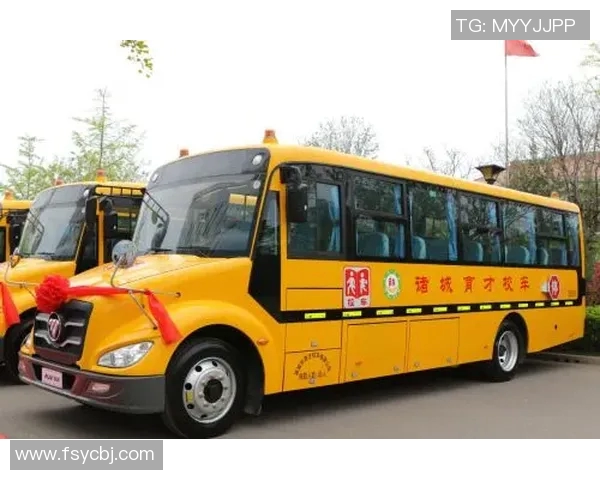 专访吴静：探索篮球领域的成功秘诀与成长之路